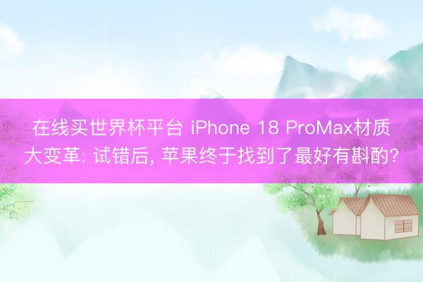 在线买世界杯平台 iPhone 18 ProMax材质大变革: 试错后， 苹果终于找到了最好有斟酌?