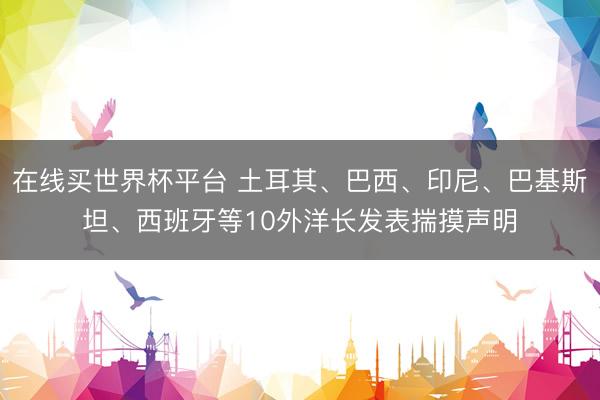 在线买世界杯平台 土耳其、巴西、印尼、巴基斯坦、西班牙等10外洋长发表揣摸声明