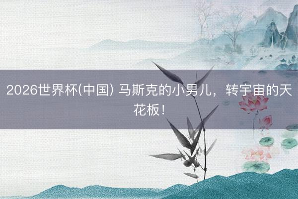 2026世界杯(中国) 马斯克的小男儿，转宇宙的天花板！