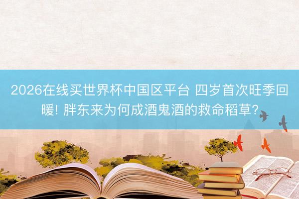 2026在线买世界杯中国区平台 四岁首次旺季回暖! 胖东来为何成酒鬼酒的救命稻草?