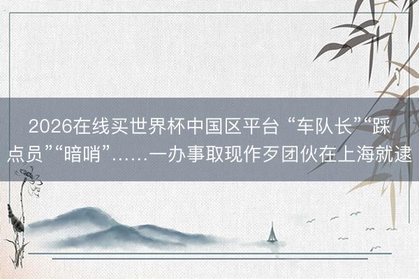 2026在线买世界杯中国区平台 “车队长”“踩点员”“暗哨”……一办事取现作歹团伙在上海就逮