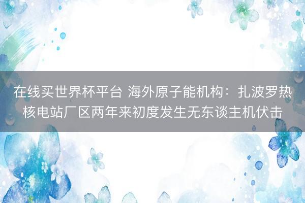 在线买世界杯平台 海外原子能机构：扎波罗热核电站厂区两年来初度发生无东谈主机伏击