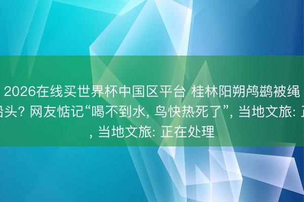 2026在线买世界杯中国区平台 桂林阳朔鸬鹚被绳索拴在船头? 网友惦记“喝不到水， 鸟快热死了”， 当地文旅: 正在处理