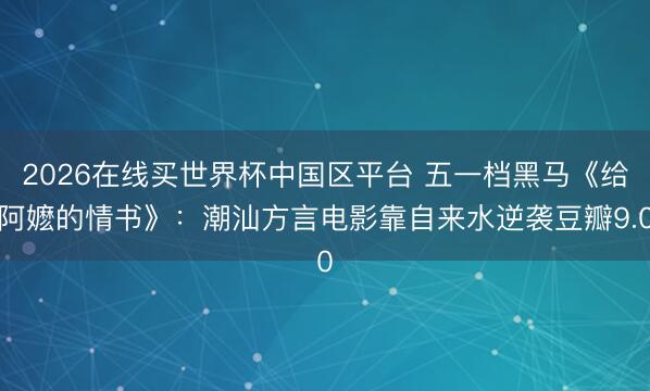 2026在线买世界杯中国区平台 五一档黑马《给阿嬷的情书》：潮汕方言电影靠自来水逆袭豆瓣9.0