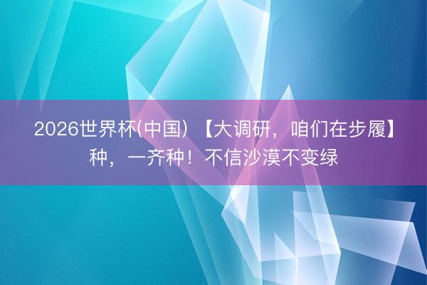 2026世界杯(中国) 【大调研，咱们在步履】种，一齐种！不信沙漠不变绿