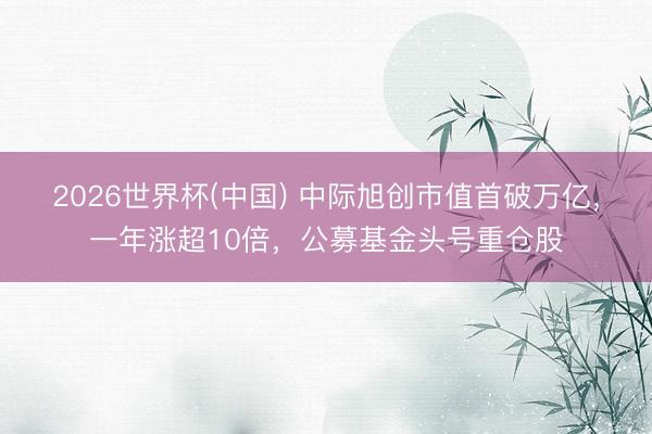 2026世界杯(中国) 中际旭创市值首破万亿，一年涨超10倍，公募基金头号重仓股